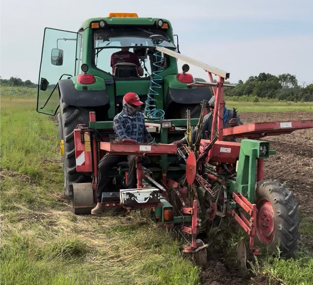 Planting the Future, One Row at a Time